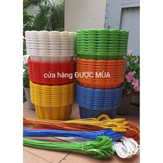 Combo 10 chậu treo bí size lớn 22cm kèm dây chọn màu