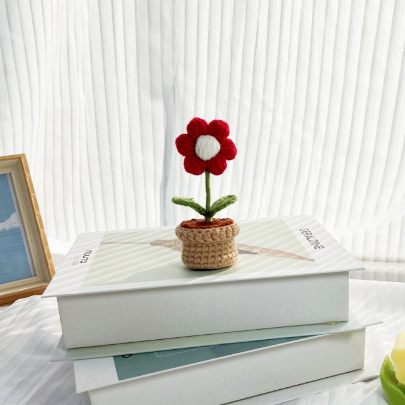 Chậu hoa len móc 6 cánh