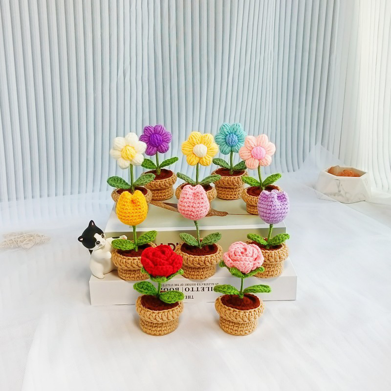 Chậu hoa len móc 6 cánh