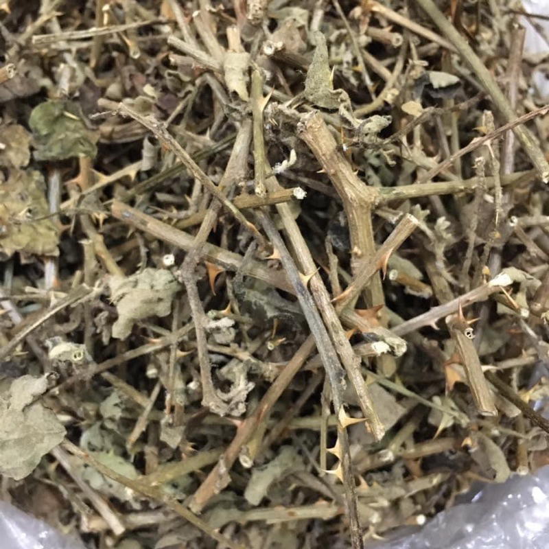 1 Kg Cà gai leo khô , sạch ,mới thơm