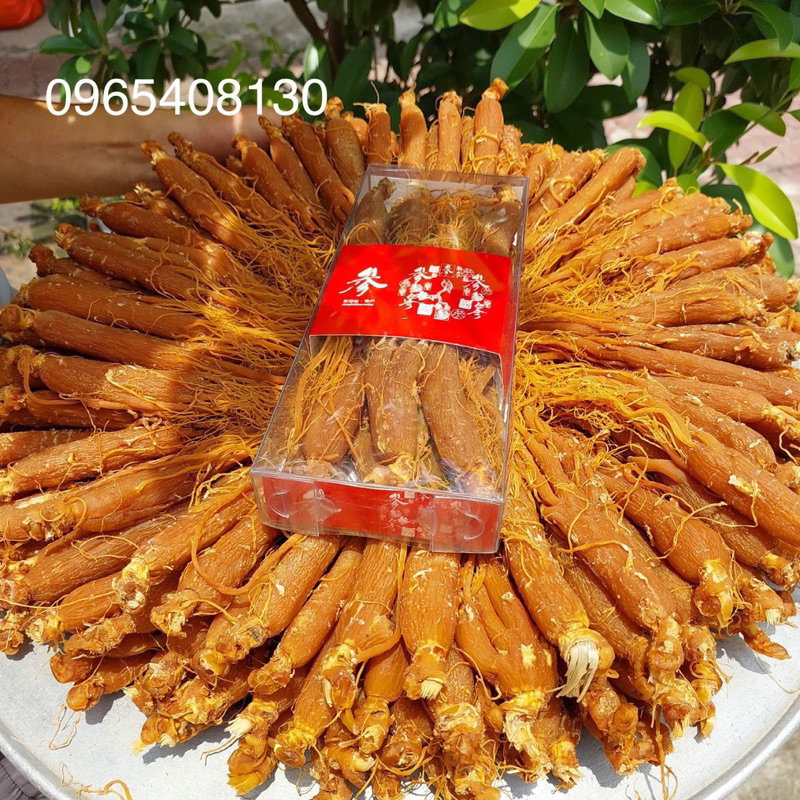 Hồng Sâm Sấy Dẻo Thơm Chuẩn ( Tây Bắc Shop )