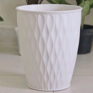 Chậu trồng cây size lớn tặng kèm dĩa lót chậu (Bàng Sing, trầu bà Thanh Xuân...)