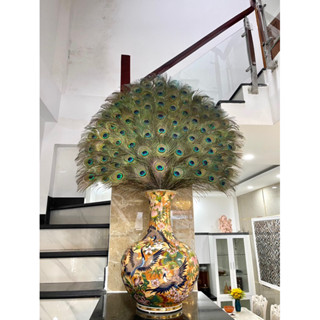 Lông Công Phong Thủy Dài 68cm - 88cm Mua Tối Thiểu 10 Lông / đơn hàng_ Khách cần đặt HOẢ TỐC nhắn shop để shop chỉnh