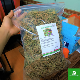 Cây Cà gai leo khô Hàng Sạch Loại 1