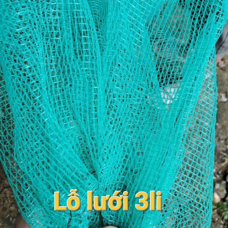 DỚN LƯỚI RỌ LỖ 3li, Dài 3m, 5 vành chì 40cm, chặn sông, trên đồng cá, tôm, lươn, lòng tong.