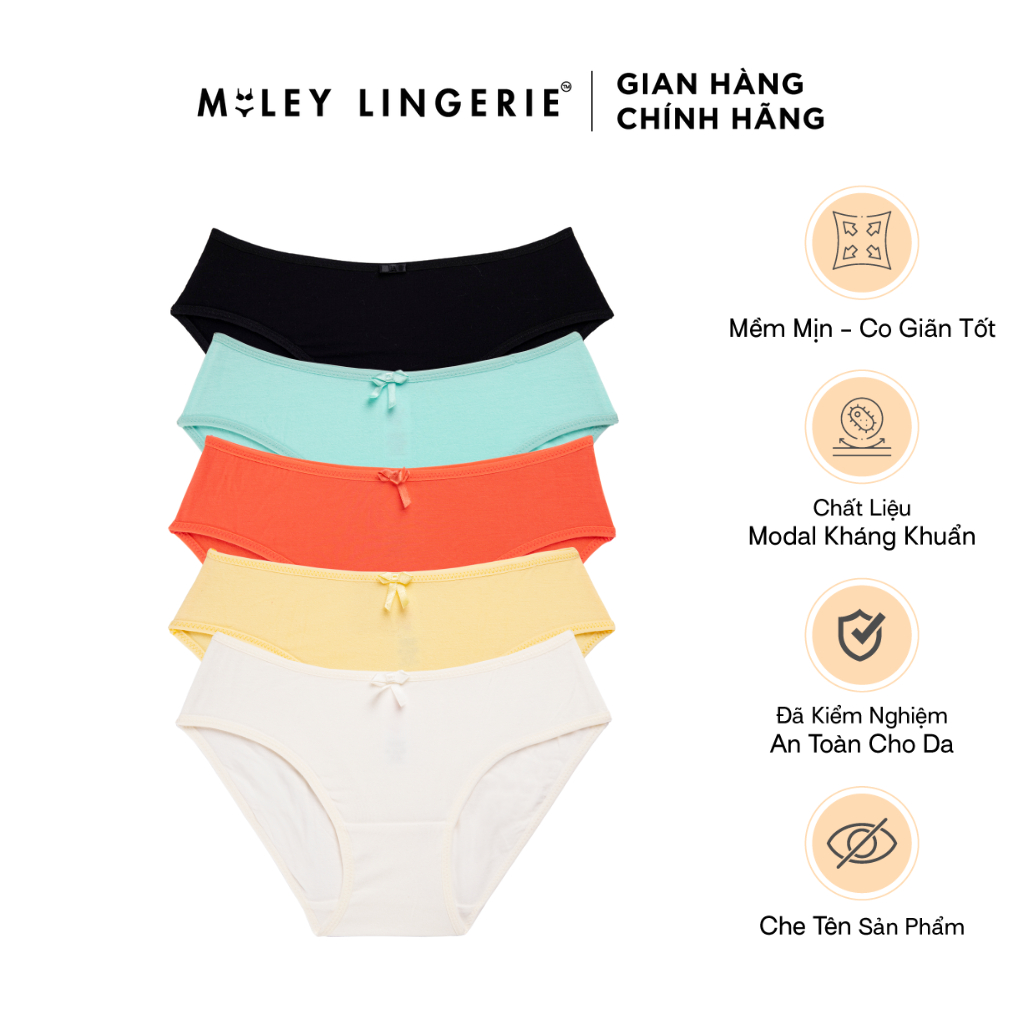 Combo 5 Quần Lót Nữ Modal Tự Nhiên Co Giãn Big Size (XL-5XL) Miley Lingerie