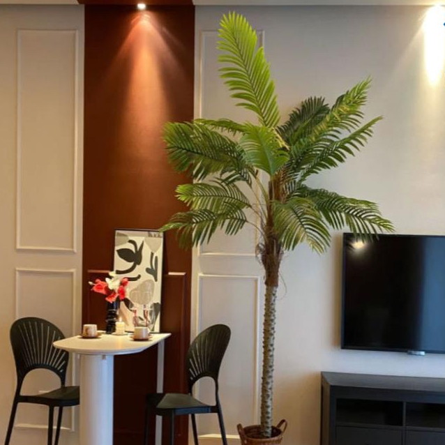 Cây Giả Cây Chà Là Cây Cau Nga Mi Cao 1,8m và 2m Trang Trí Decor Nhà Cửa Bền Đẹp