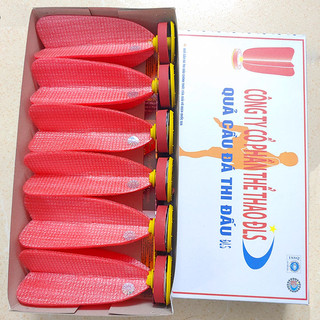 Quả cầu đá ĐLS chuyên dùng tập luyện - thi đấu đá cầu phong trào + nghiệp dư + chuyên nghiệp
