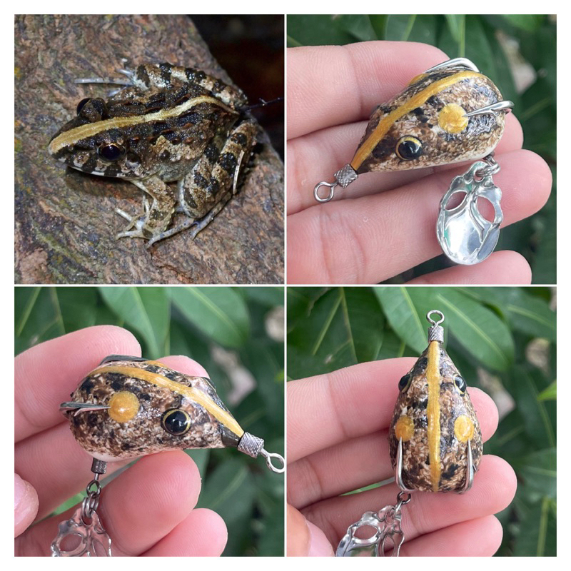 Nhái hơi VV35 LƯỠI ĐỘ như nhái thật,siêu nhạy, táp là dính.