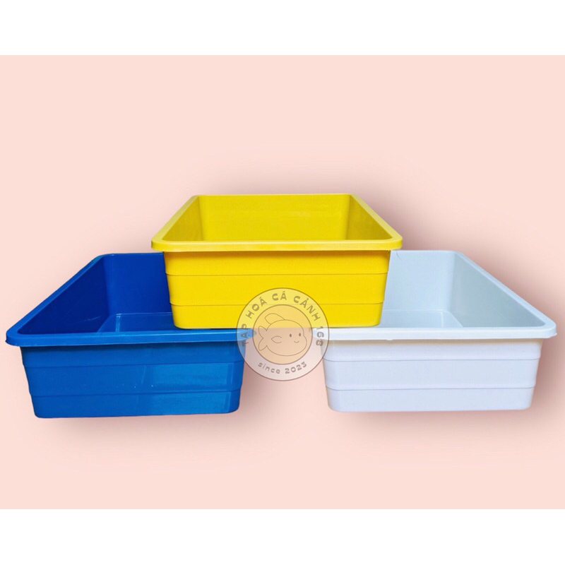 Khay nhựa nuôi cá 16L