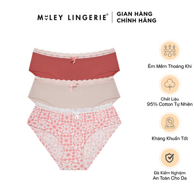 Combo 3 Quần Lót Cotton Lụa Phối Ren Plus Size Miley Lingerie - Mềm Mại, Thoáng Khí