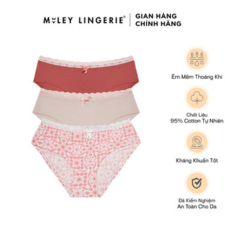 Combo 3 quần lót cotton lụa phối ren plus size miley lingerie nature wind fcp_11