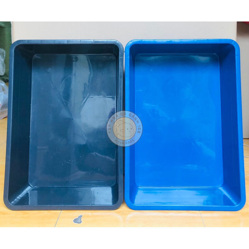 Khay nhựa nuôi cá 16L