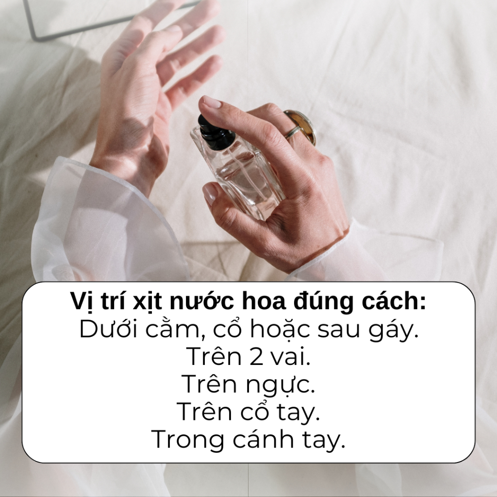 Tinh Dầu Nước Hoa VOVE Bad Boy 10ml - Mạnh mẽ, Nam tính, Cuốn hút