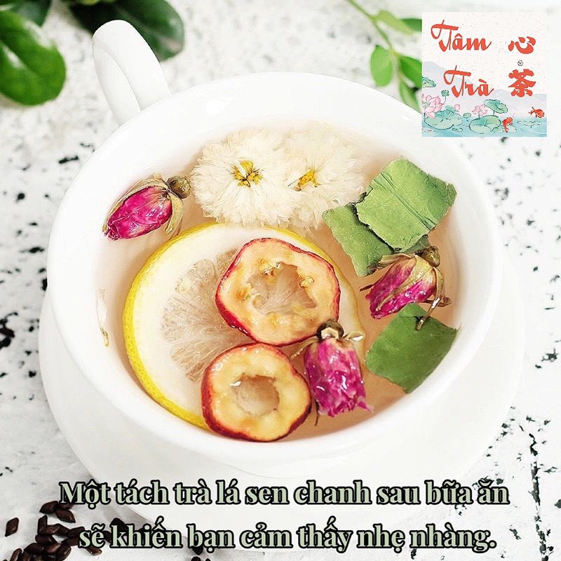 🪷 Lục Trà Chanh Lá Sen 🪷