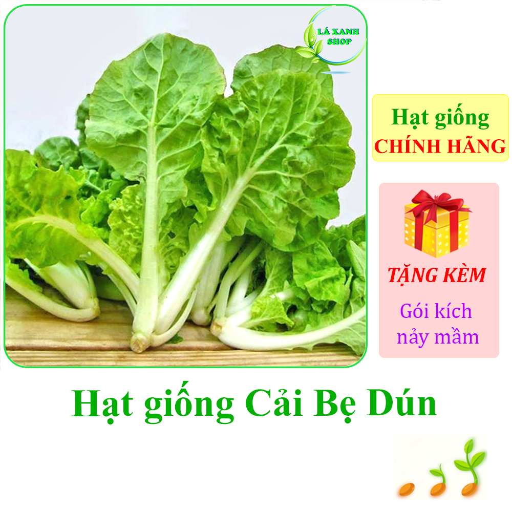 20g Hạt Giống Cải Bẹ Dún Giòn Ngọt