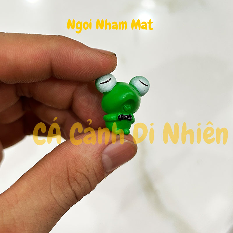 Tiểu cảnh ếch Xanh mắt tròn trang trí hồ cá Terrarium chậu cây vườn