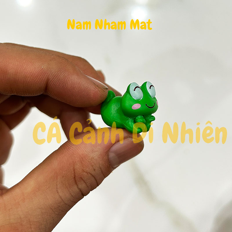 Tiểu cảnh ếch Xanh mắt tròn trang trí hồ cá Terrarium chậu cây vườn