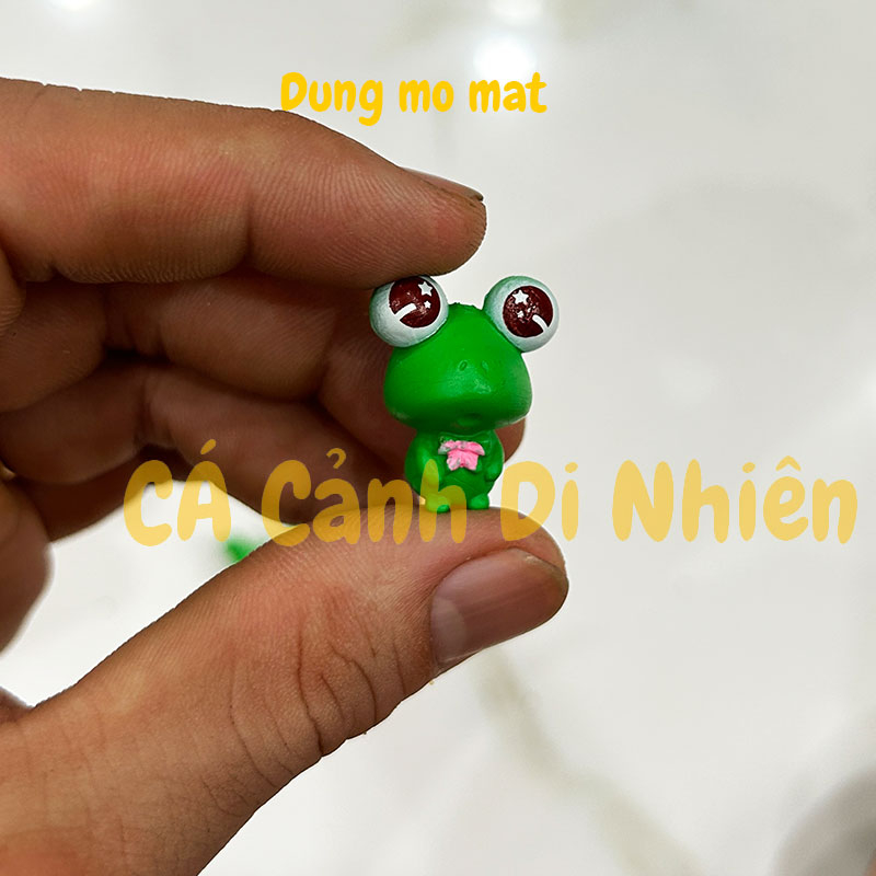 Tiểu cảnh ếch Xanh mắt tròn trang trí hồ cá Terrarium chậu cây vườn