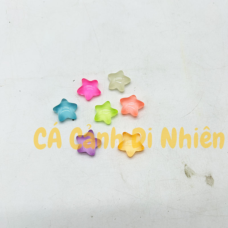 Mô hình SAO BIỂN PHÁT SÁNG DẠ QUANG bằng nhựa trang trí tiểu cảnh hồ cá Terrarium