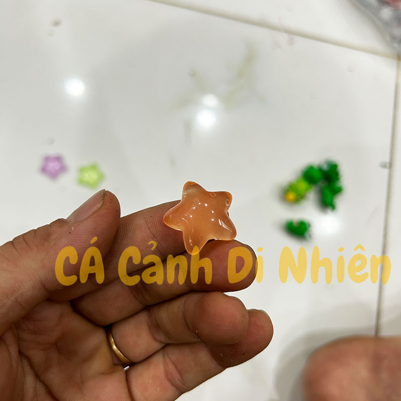 Mô hình SAO BIỂN PHÁT SÁNG DẠ QUANG bằng nhựa trang trí tiểu cảnh hồ cá Terrarium