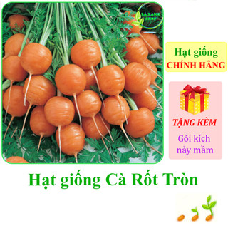 Hạt giống Cà rốt củ tròn Rado 527 Rạng Đông - Hàng chính hãng