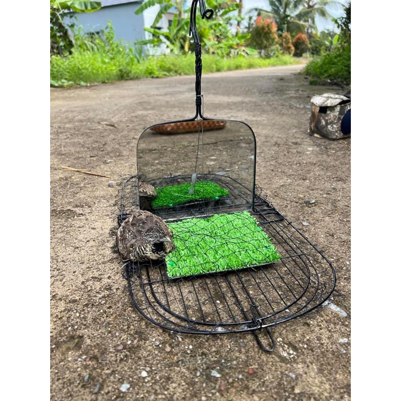 Mẹt bẫy cút gương