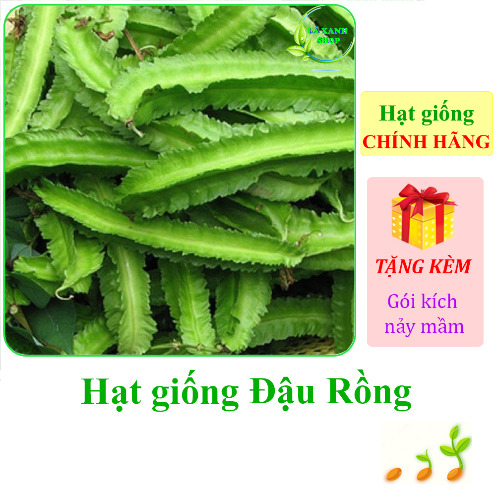 Hạt giống Đậu Rồng Cao Sản Sinh Trưởng Khỏe, Trồng Quanh Năm, Ra Trái Liên Tục (gói 10 gram) - Hạt Giống Rạng Đông
