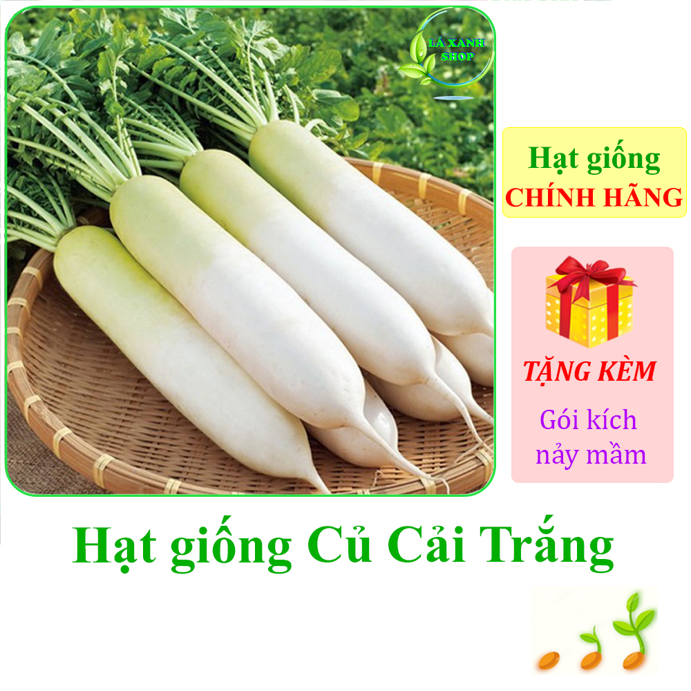20g Hạt giống Củ Cải Trắng