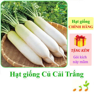 Hạt giống Củ cải trắng Rạng Đông Rado 107 - Hàng chính hãng