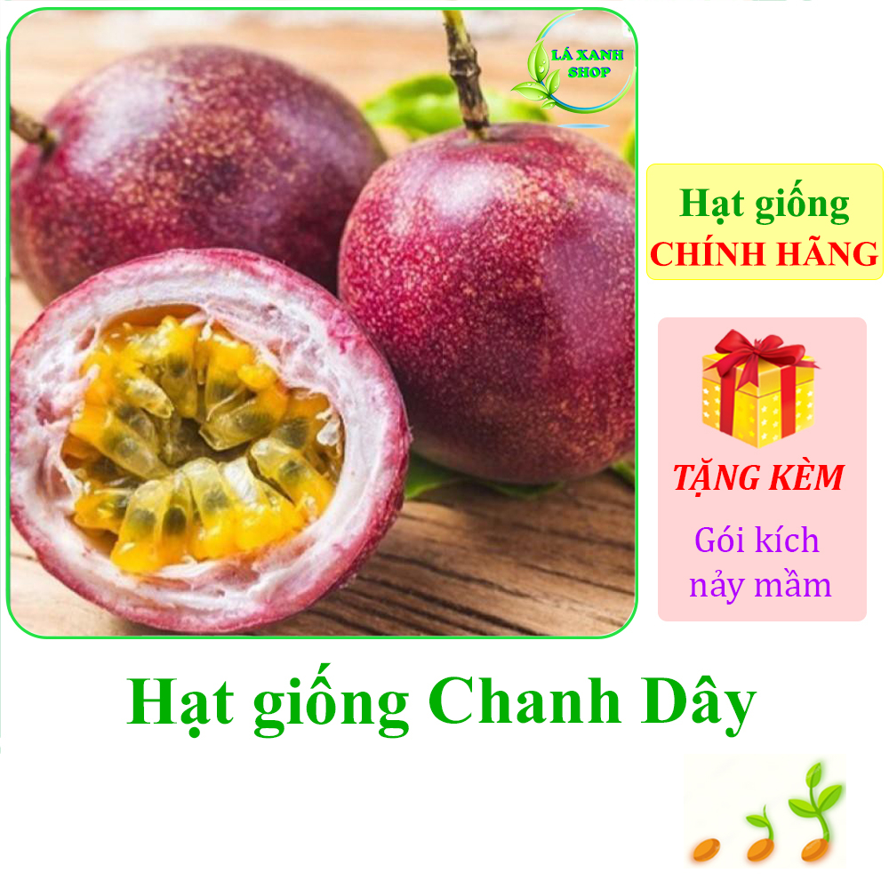 Hạt giống Chanh Dây Năng Suất Cao, Trồng Quanh Năm (gói 0,2 gram) - Hạt giống Rạng Đông