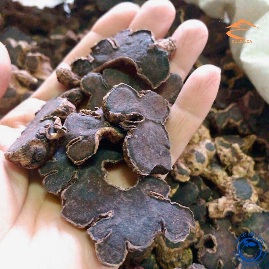 Gừng đen (ngải tím) khô Tây Bắc loai 1 được sấy khô từ gừng đen tươi Lai Châu