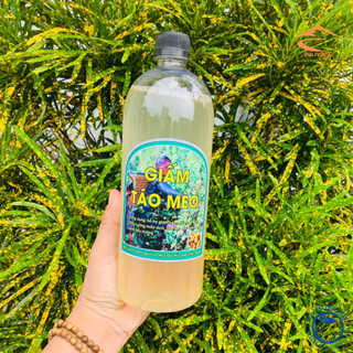 Giấm táo mèo giảm cân loại 1 , giấm táo mèo hữu cơ organic nguyên chất. Dấm táo mèo giảm cân, mỡ bụng