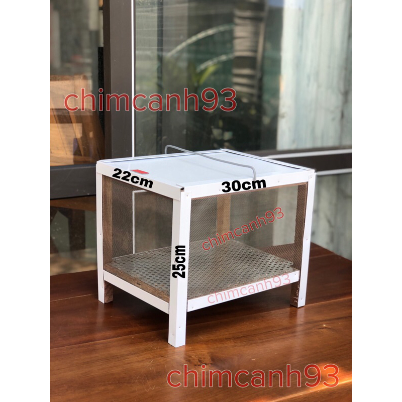 Hộp đựng dế,cào cào,châu chấu có chân trống kiến tiện lợi