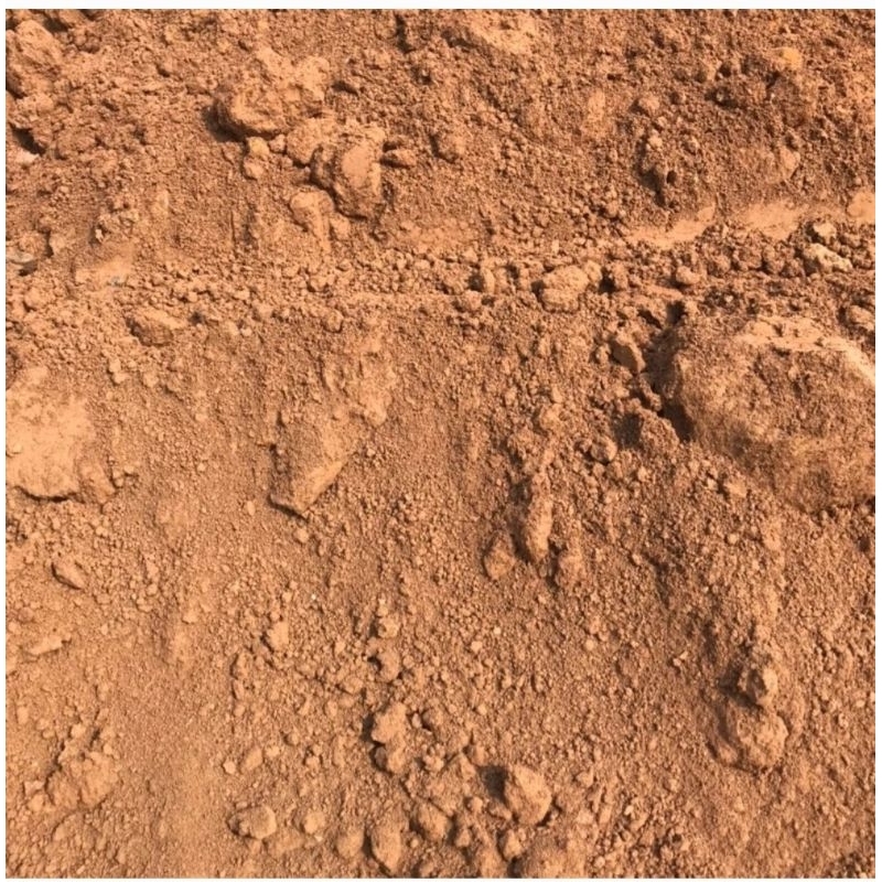 1kg đất sạch phù sa  dùng để trồng sen, cây cảnh