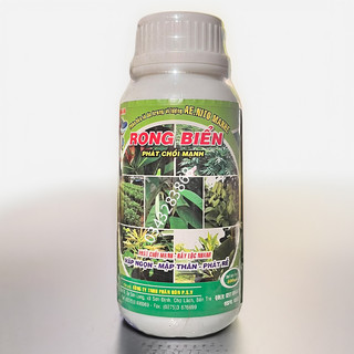 Phân bón rong biển phát chồi bung đọt mập thân kích rễ xanh cây