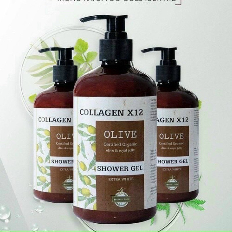 Sữa tắm Collagen x12 Olive 500ml