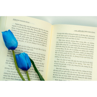 Sách-Lớn lên trên đảo vắng (Đinh Tị)