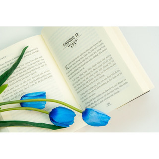 Sách-Lớn lên trên đảo vắng (Đinh Tị)