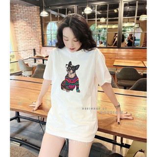 (Ảnh Thật )Áo Phông PUG LEN Co Giãn 4 Chiều Form Basic Vải Mịn Chất Cotton 100%