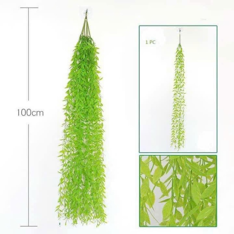 rủ lá cúc tần - rủ trang trí