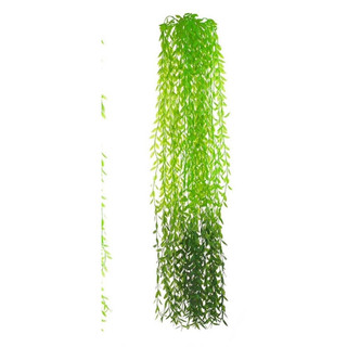 rủ lá cúc tần - rủ trang trí