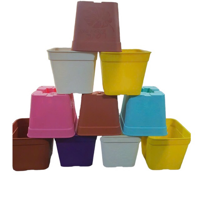 Chậu nhựa trồng sen đá, xương rồng 11x10