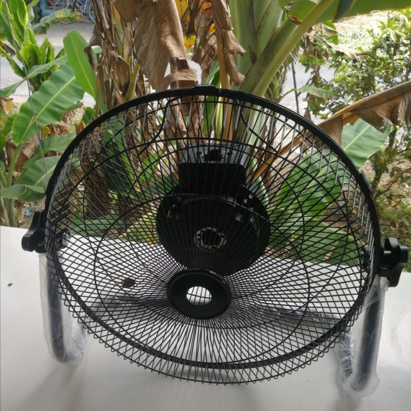 Lồng, Chân Chế Quạt