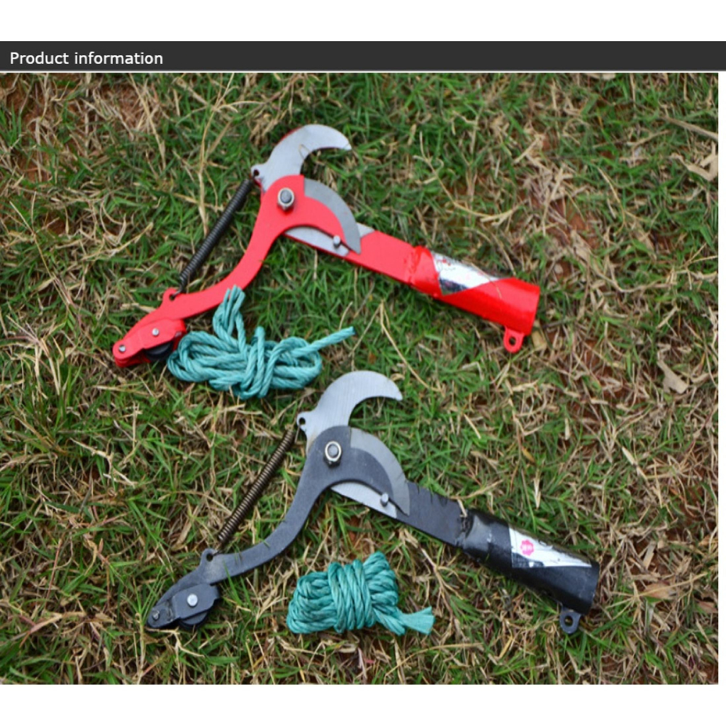 Kéo hái hoa quảkéo cắt cành trên cao