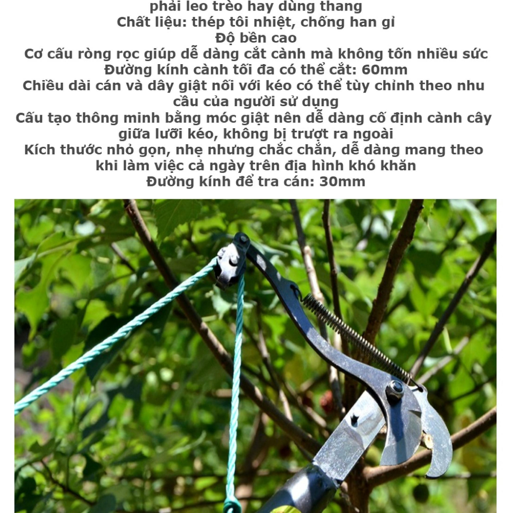 Kéo hái hoa quảkéo cắt cành trên cao