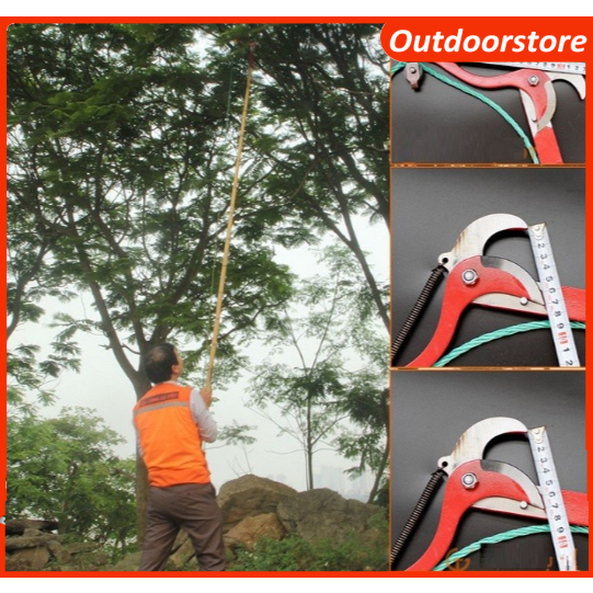 Kéo hái hoa quảkéo cắt cành trên cao