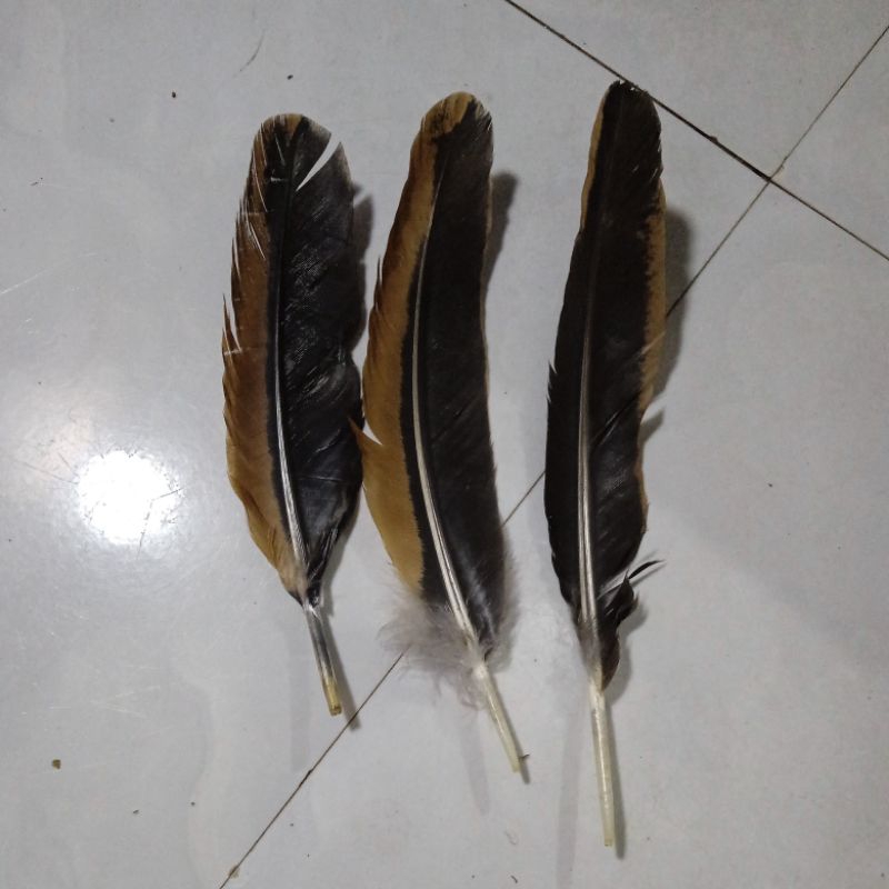 1 bộ lông cánh gà_tết lông cấy lông gà chọi gà nòi gà đá gà đòn