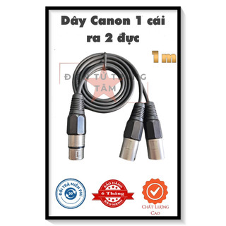 Dây canon 1 cái ra 2 đực dài 1m - giá 1 sợi