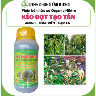 Kéo đọt tạo tán amino - rong biển - đạm cá, chuyên sầu riêng, kéo đọt đồng loạt, bung đọt mạnh, mập đọt, lá xanh dày